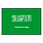Saudi Arabia U20 Logo